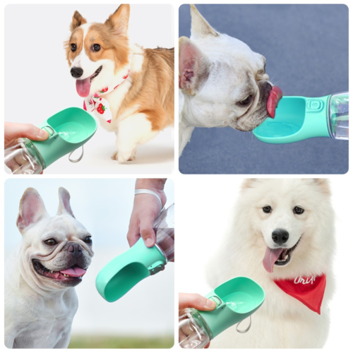 Pet Travel Feeder & Water Dispenser — Portable Bowl for Dogs & Cats